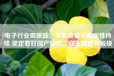 电子行业周跟踪：关税政策不确定性持续 坚定看好国产替代、自主可控等板块