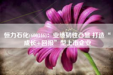 恒力石化(600346)：业绩韧性凸显 打造“成长+回报”型上市企业