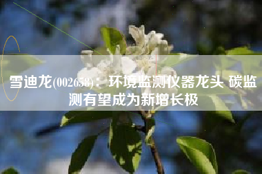 雪迪龙(002658)：环境监测仪器龙头 碳监测有望成为新增长极