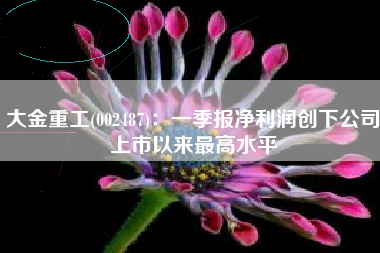 大金重工(002487)：一季报净利润创下公司上市以来最高水平