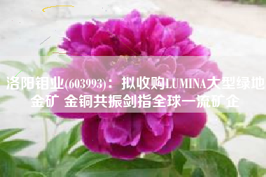 洛阳钼业(603993)：拟收购LUMINA大型绿地金矿 金铜共振剑指全球一流矿企