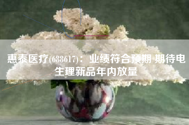 惠泰医疗(688617)：业绩符合预期 期待电生理新品年内放量