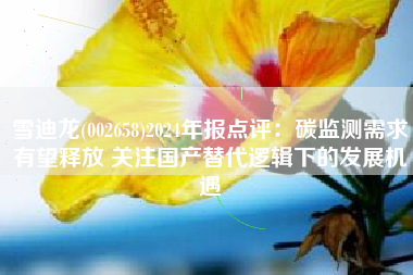 雪迪龙(002658)2024年报点评：碳监测需求有望释放 关注国产替代逻辑下的发展机遇