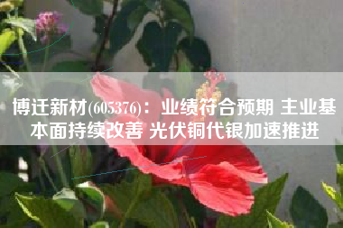 博迁新材(605376)：业绩符合预期 主业基本面持续改善 光伏铜代银加速推进