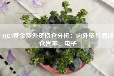 1Q25基金及外资持仓分析：内外资共同加仓汽车、电子