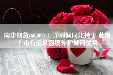 南华期货(603093)：净利润同比持平 赴港上市有望巩固境外护城河优势