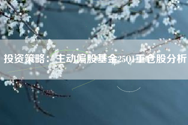 投资策略：主动偏股基金25Q1重仓股分析