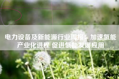 电力设备及新能源行业周报：加速氢能产业化进程 促进氢能发展应用