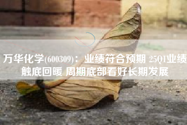 万华化学(600309)：业绩符合预期 25Q1业绩触底回暖 周期底部看好长期发展
