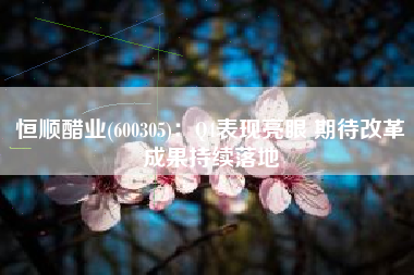 恒顺醋业(600305)：Q4表现亮眼 期待改革成果持续落地