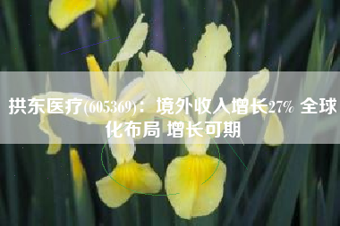 拱东医疗(605369)：境外收入增长27% 全球化布局 增长可期