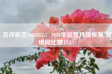吉祥航空(603885)：2024年运营持续恢复 业绩同比增17.5%