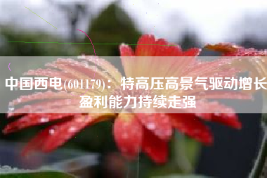 中国西电(601179)：特高压高景气驱动增长 盈利能力持续走强