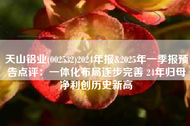 天山铝业(002532)2024年报&2025年一季报预告点评：一体化布局逐步完善 24年归母净利创历史新高