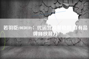 若羽臣(003010)：代运营根基稳固 自有品牌释放潜力
