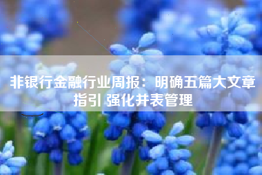 非银行金融行业周报：明确五篇大文章指引 强化并表管理