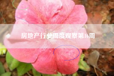 房地产行业周度观察第16周