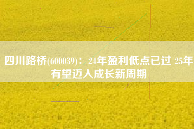 四川路桥(600039)：24年盈利低点已过 25年有望迈入成长新周期
