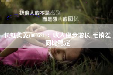 长虹美菱(000521)：收入稳步增长 毛销差同比稳定