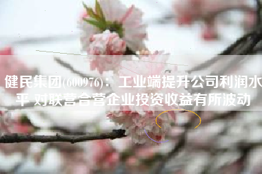 健民集团(600976)：工业端提升公司利润水平 对联营合营企业投资收益有所波动