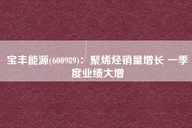 宝丰能源(600989)：聚烯烃销量增长 一季度业绩大增