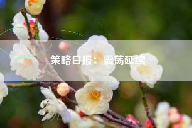 策略日报：震荡延续