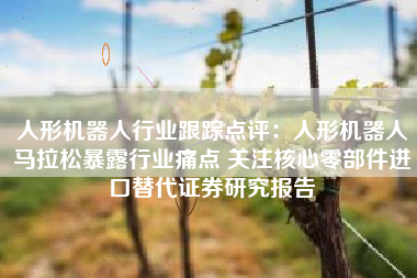 人形机器人行业跟踪点评：人形机器人马拉松暴露行业痛点 关注核心零部件进口替代证券研究报告