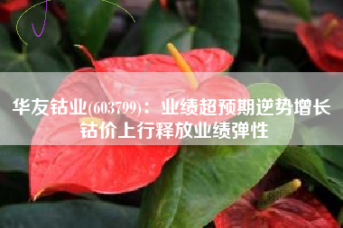 华友钴业(603799)：业绩超预期逆势增长 钴价上行释放业绩弹性