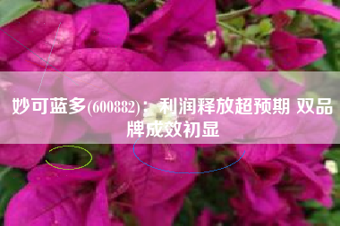 妙可蓝多(600882)：利润释放超预期 双品牌成效初显