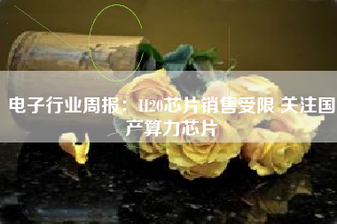 电子行业周报：H20芯片销售受限 关注国产算力芯片