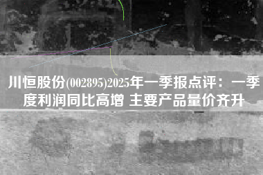 川恒股份(002895)2025年一季报点评：一季度利润同比高增 主要产品量价齐升