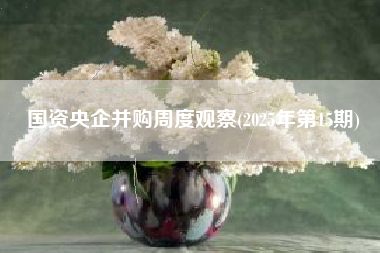 国资央企并购周度观察(2025年第15期)