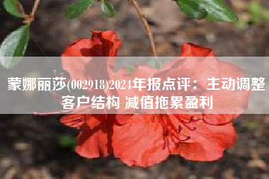 蒙娜丽莎(002918)2024年报点评：主动调整客户结构 减值拖累盈利