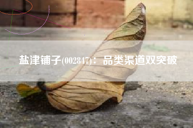 盐津铺子(002847)：品类渠道双突破