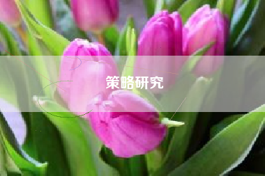 策略研究
