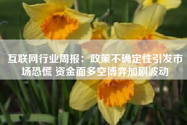 互联网行业周报：政策不确定性引发市场恐慌 资金面多空博弈加剧波动