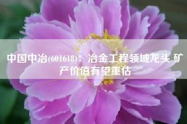 中国中冶(601618)：冶金工程领域龙头 矿产价值有望重估