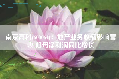 南京高科(600064)：地产业务收缩影响营收 归母净利润同比增长