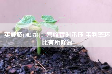 英威腾(002334)：营收暂时承压 毛利率环比有所修复