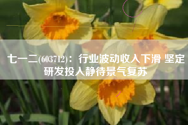 七一二(603712)：行业波动收入下滑 坚定研发投入静待景气复苏