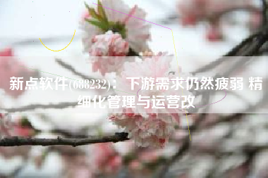 新点软件(688232)：下游需求仍然疲弱 精细化管理与运营改