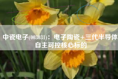 中瓷电子(003031)：电子陶瓷+三代半导体 自主可控核心标的
