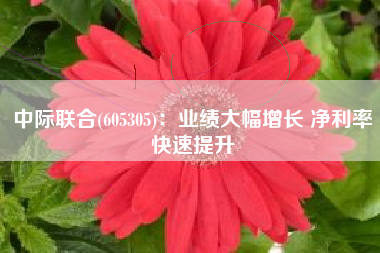 中际联合(605305)：业绩大幅增长 净利率快速提升