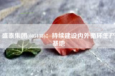盛泰集团(605138)：持续建设内外循环生产基地