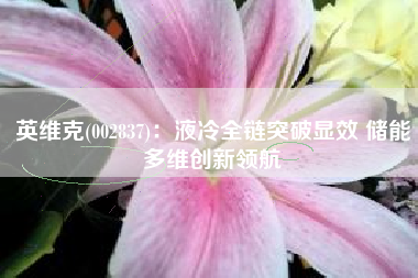 英维克(002837)：液冷全链突破显效 储能多维创新领航