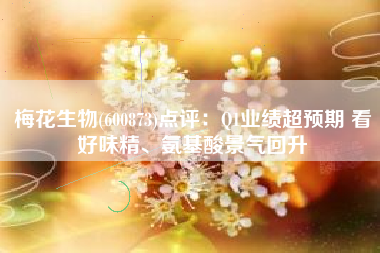 梅花生物(600873)点评：Q1业绩超预期 看好味精、氨基酸景气回升