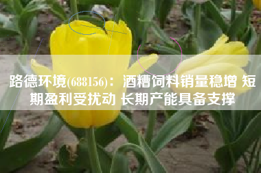 路德环境(688156)：酒糟饲料销量稳增 短期盈利受扰动 长期产能具备支撑