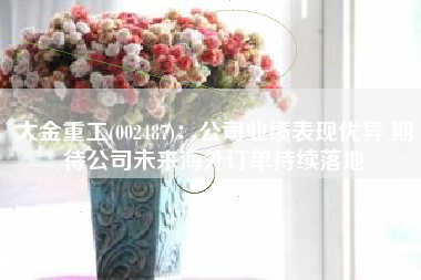 大金重工(002487)：公司业绩表现优异 期待公司未来海外订单持续落地