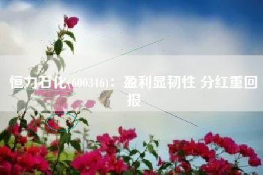 恒力石化(600346)：盈利显韧性 分红重回报