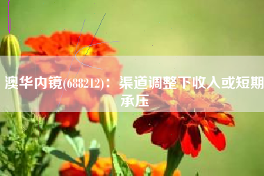 澳华内镜(688212)：渠道调整下收入或短期承压